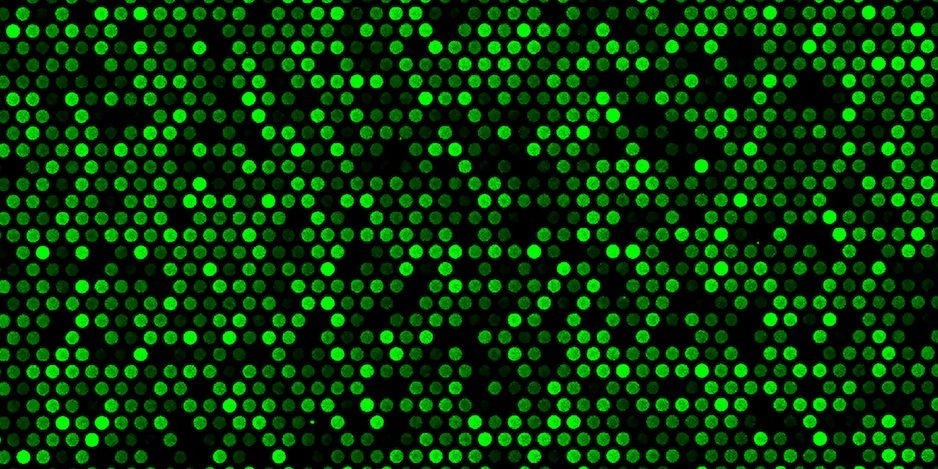 transcriptic robotize transcriptic robotize
