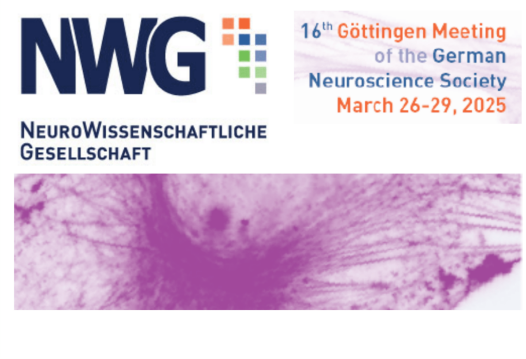 InnoQuant workshop at Neurowissenschaftliche Gesellschaft 2025