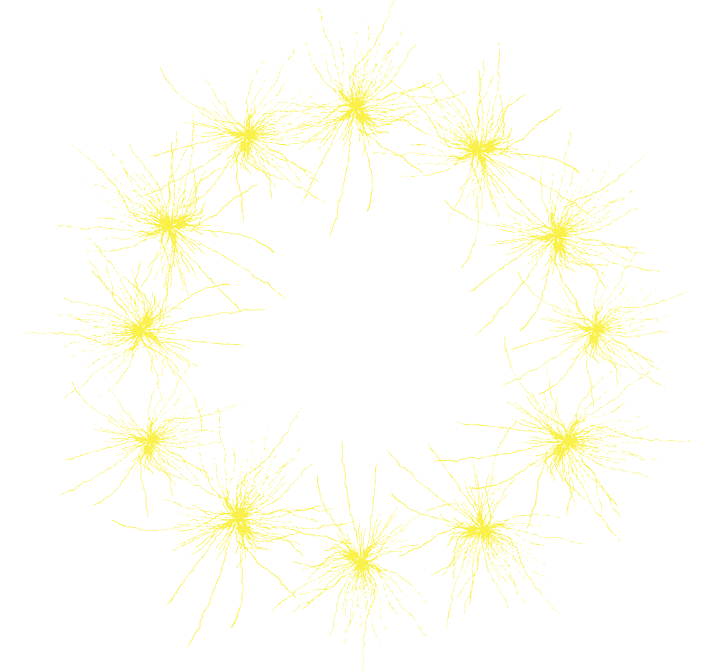 InnoQuant slide scanner at GLIA
