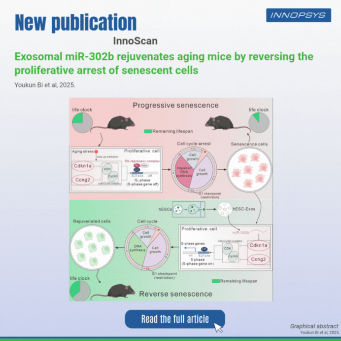 Microarray scanner