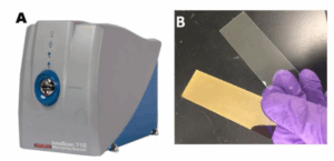 microarray scanner innoscan, cytokine detection and pGold slides