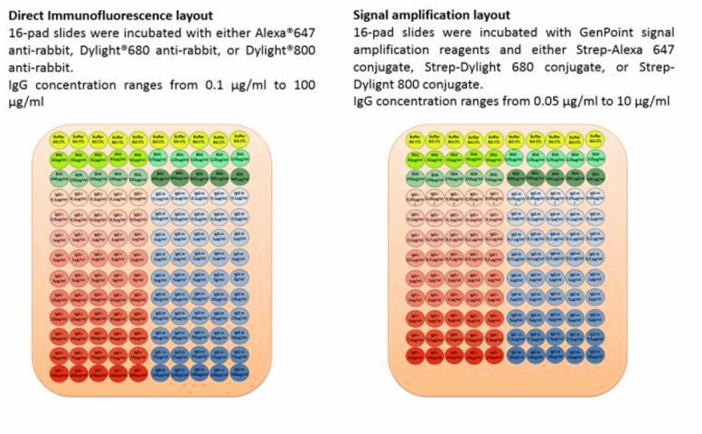 detection methods for protein microarray applications