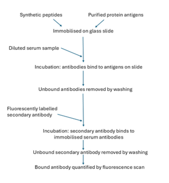 Figure 2: Summary of antigen microarray fabrication and data collection