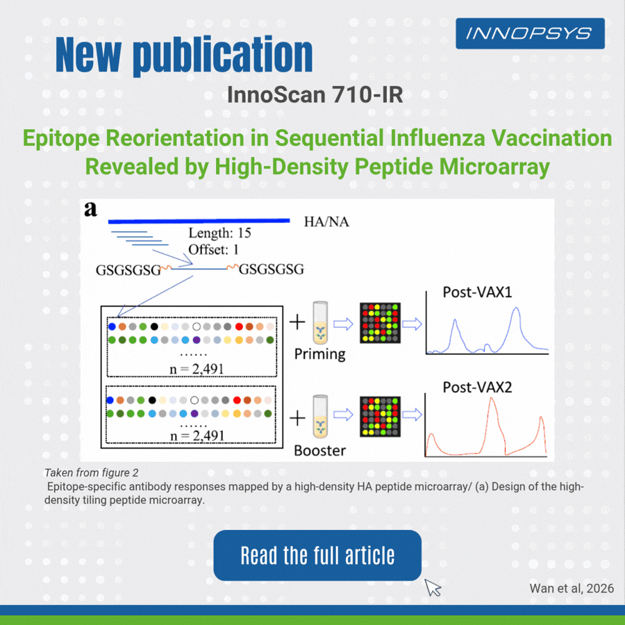 Epitope Reorientation in Sequential Influenza Vaccination