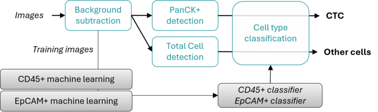 Figure 1: Workflow for the automated pre-classification of cells