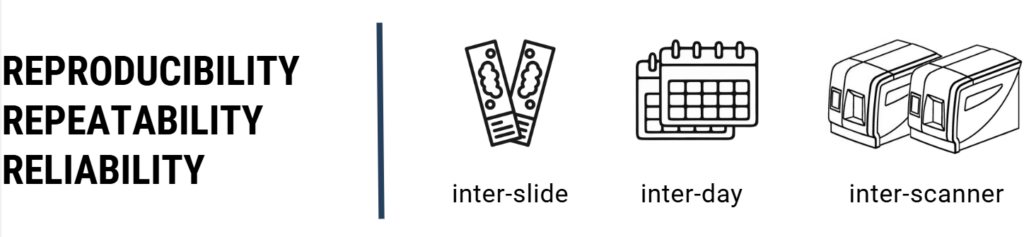 Argolight quality control slide with InnoQuant slide scanner